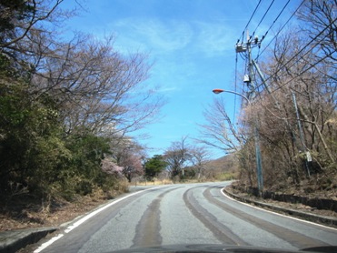 御殿場方面へ-桜と富士山_f0197246_19551076.jpg