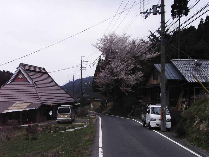 強風、桜、久しぶりの100km越え_e0149648_22313968.jpg