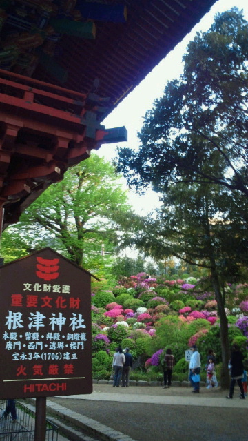 期間限定屋台 最終日 5月5日 10時頃~17時頃 商い中!_b0195849_6232386.jpg