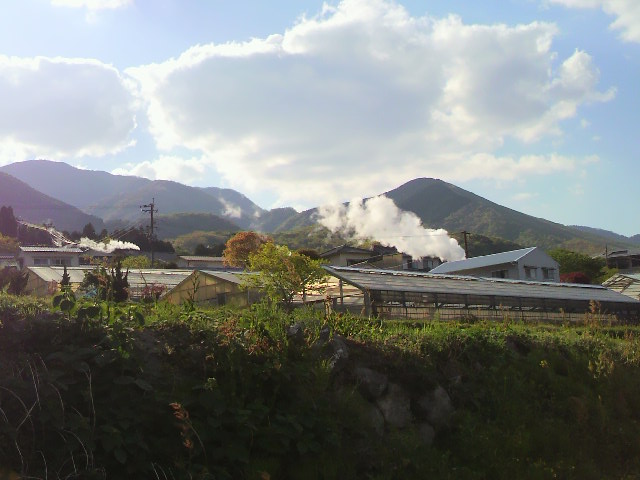 c0206352_91378.jpg