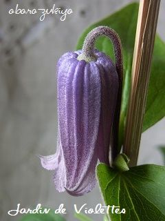 e0118257_14471063.jpg