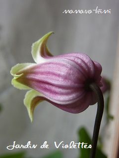 e0118257_14505822.jpg