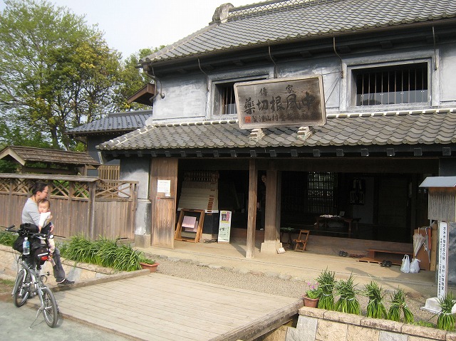 田島ヶ原のさくら草自生地、柳瀬川サイクリング_a0034560_2091529.jpg