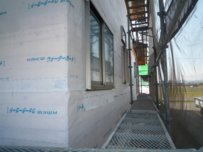 a0168865_65338.jpg