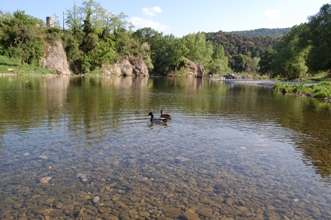 f0138768_2324864.jpg