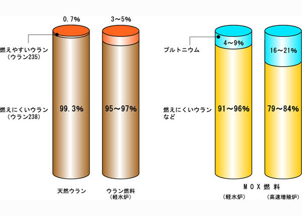 予定通りですか？_c0139575_2022593.jpg