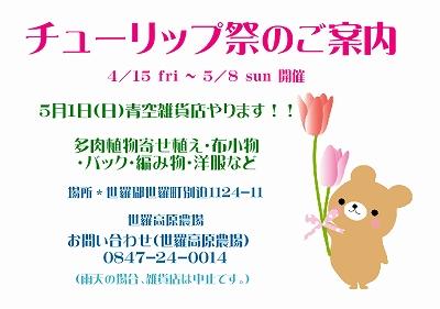 世良高原チューリップ祭り_d0183278_8542148.jpg