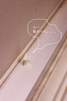f0214479_10244973.jpg