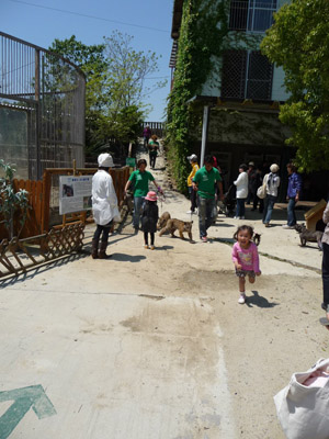 香川の白鳥動物園_e0173183_22432866.jpg