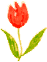 c0221884_819592.gif