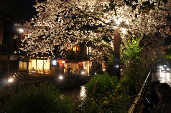 津和野ー>京都_c0180686_21382596.jpg