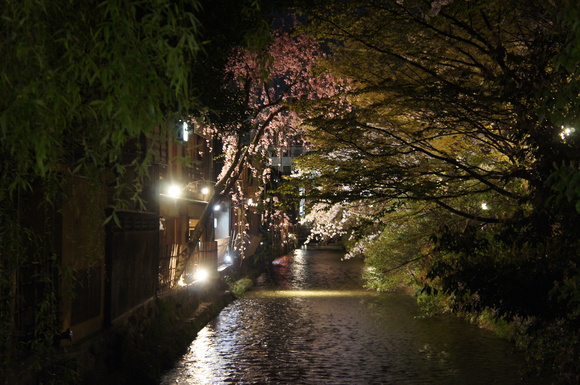 津和野ー>京都_c0180686_2139079.jpg