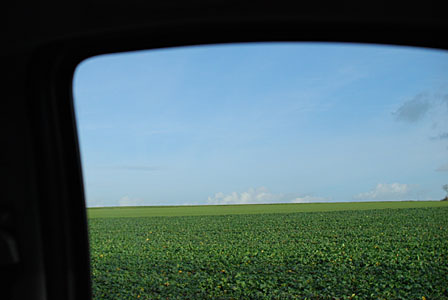 d0200286_23124420.jpg