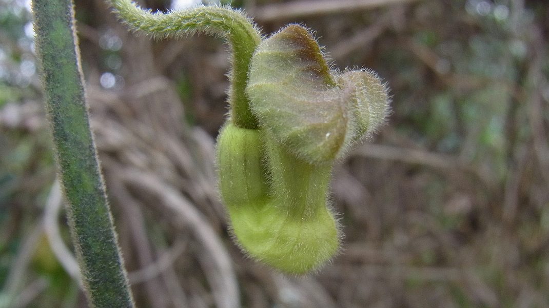 a0152692_18303436.jpg