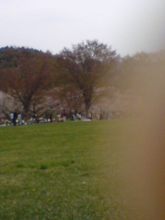 c0077594_11203692.jpg
