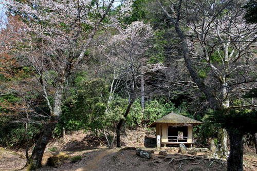 大和路の桜16(吉野山奥千本)_a0135396_22301239.jpg