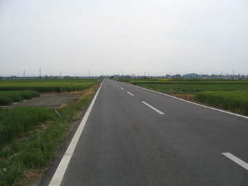 a0117599_00593.jpg