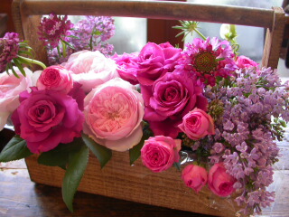 2011・mother\'s day flower gift_c0102699_8421825.jpg