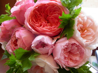 2011・mother\'s day flower gift_c0102699_8425259.jpg