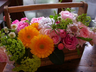 2011・mother\'s day flower gift_c0102699_842888.jpg