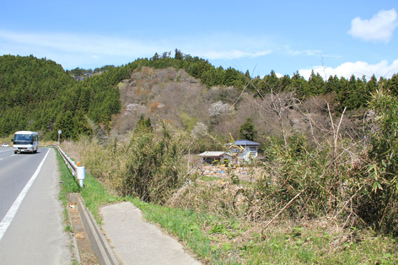 e0054299_1456591.jpg