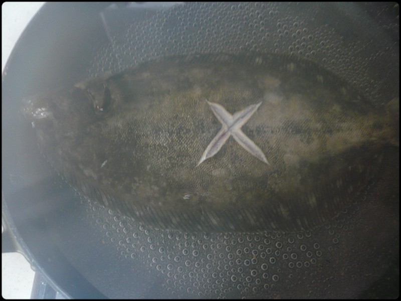 e0192200_2024309.jpg