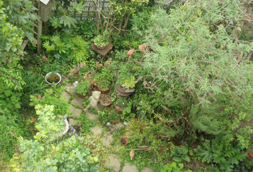 c0129702_22471234.gif