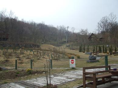 f0179203_1953777.jpg