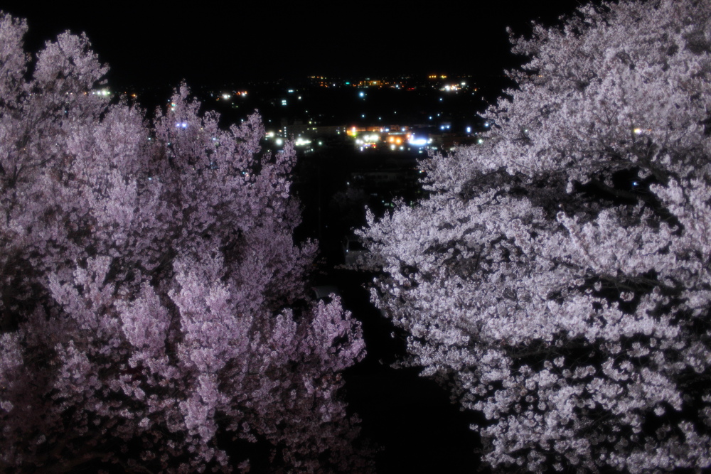 a0155104_21233798.jpg