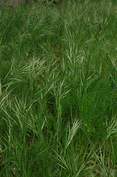 c0156908_19421490.jpg