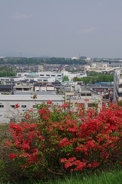 c0156908_1948010.jpg
