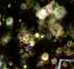 e0103408_1342888.jpg