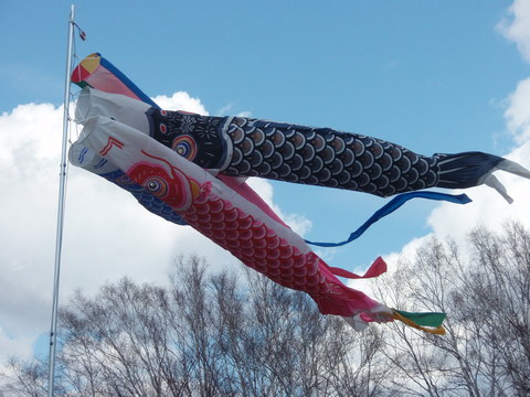 b0198109_11514252.jpg