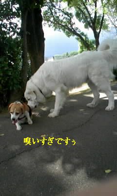 a0161310_1405040.jpg