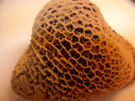 f0043911_2010304.jpg