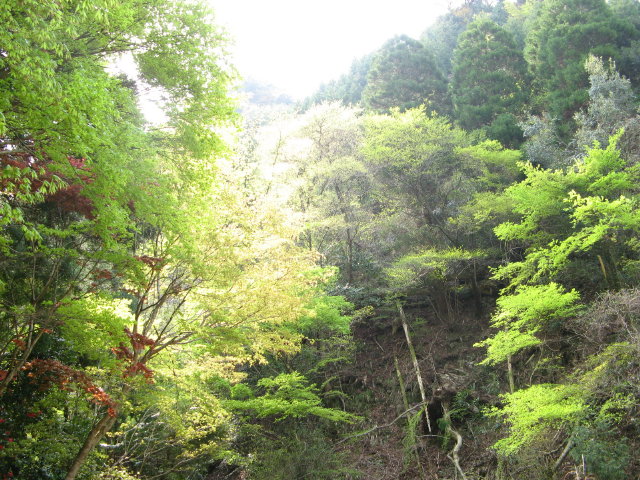 d0006512_0204744.jpg