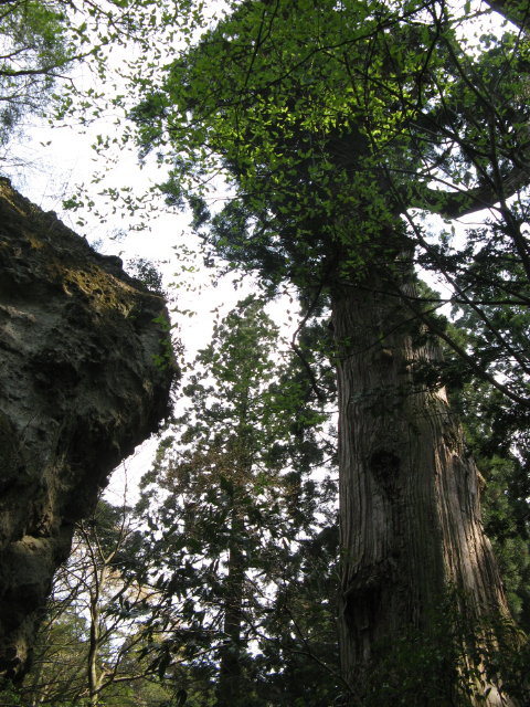 d0006512_023129.jpg