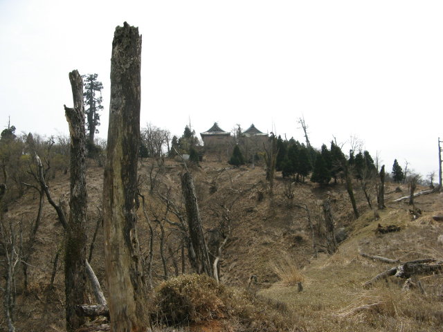 d0006512_029164.jpg