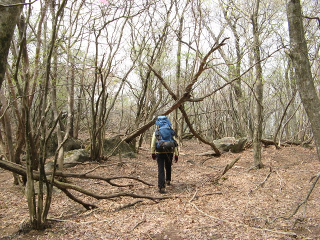 d0006512_0304086.jpg