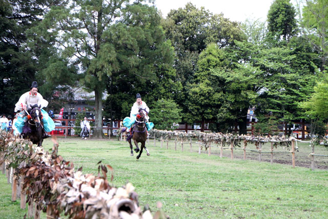 賀茂競馬 足汰式(あしそろえしき)_e0048413_22231194.jpg
