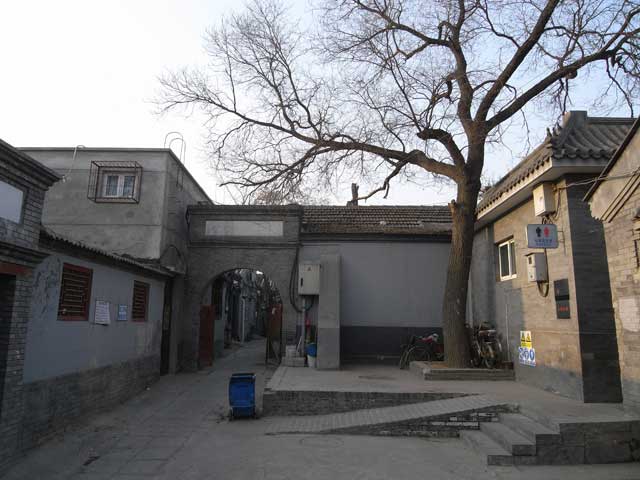e0049318_1649463.jpg