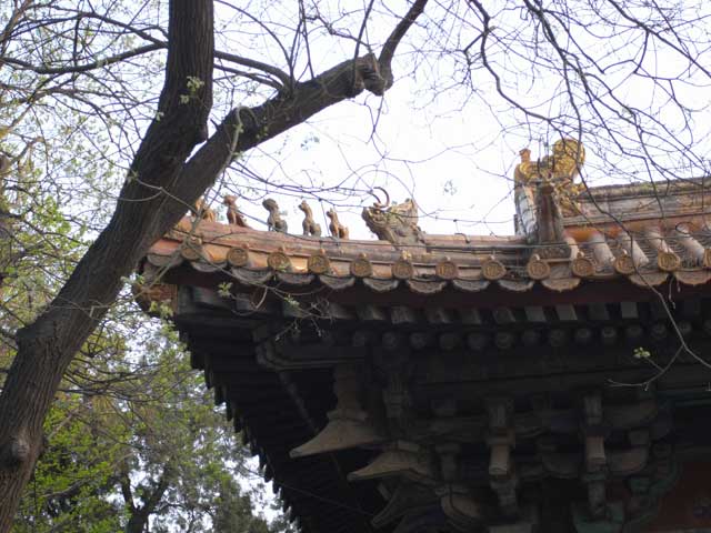 e0049318_16535445.jpg