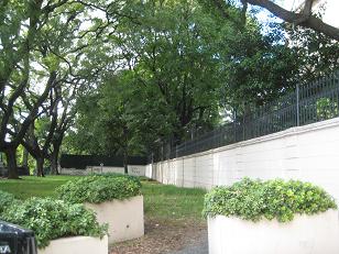 f0135018_8471030.jpg