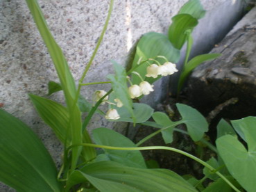 c0124619_1925169.jpg