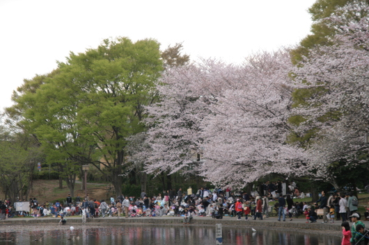 e0128322_0333973.jpg