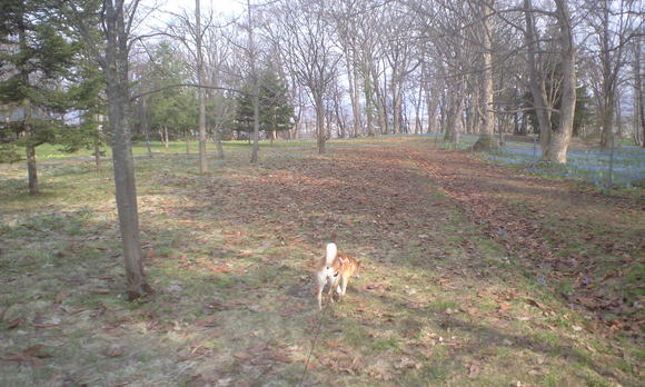 e0227023_2321710.jpg