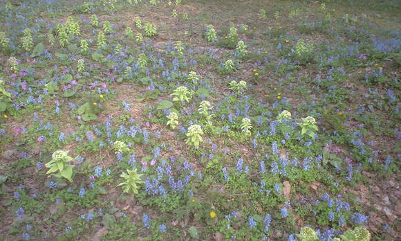 e0227023_23244538.jpg