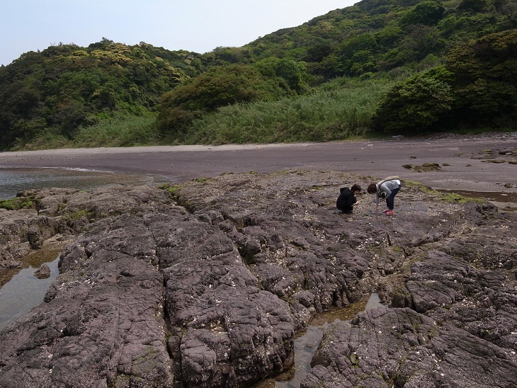 f0010925_1947561.jpg