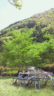 e0064227_1224965.jpg