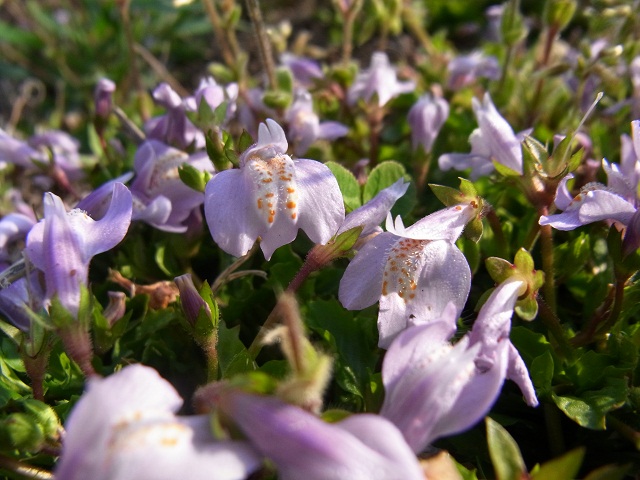 f0214527_1221718.jpg